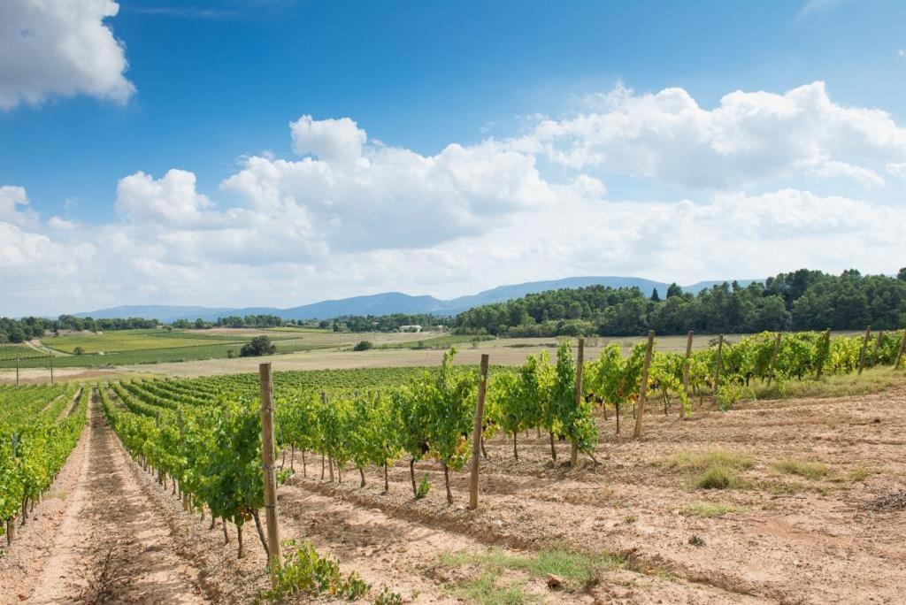 Villa Chateau Canet Rustiques Exterior foto